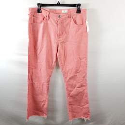 Adriano Goldschmied Women Striped Jeans Sz 30 NWT