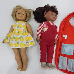 American Girl Doll & Our Generation Cecee 18in with Doll Soft Carry Case
