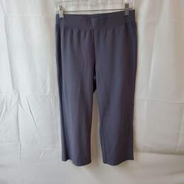 Eileen Fisher Gray Cropped Pants Size XS