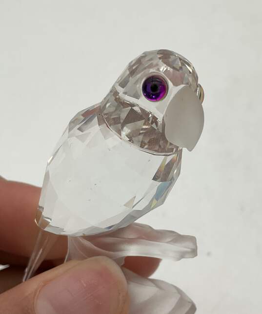 Swarovski Parrot Silver Crystal image number 7