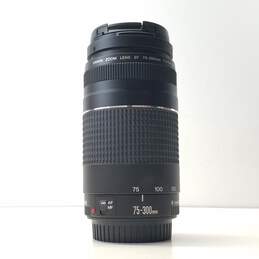 Canon EF Zoom 75-300mm f/4-5.6 III Camera Lens
