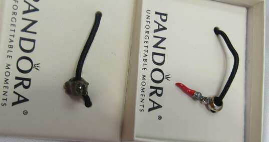 Pandora Charms. image number 2