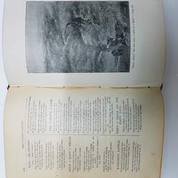 Antique Burns' Complete Works Illustrated Book alternative image