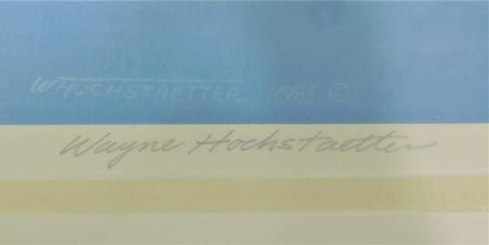 Wayne Hochstaetter Signed Framed Numbered Seascape Art Print First Flight image number 3