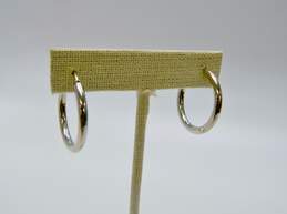 Elegant 14K White Gold Hoop Earrings 2.2g