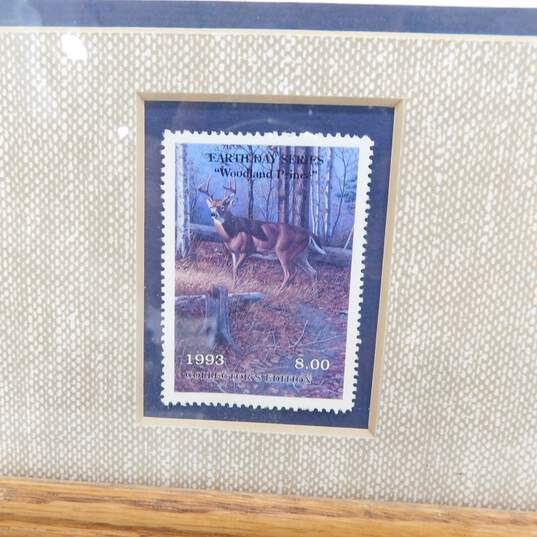 Artist Harry Antis Signed 'Woodland Prince' Deer Limited Edition Print & Stamp image number 4