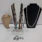 Bundle of Assorted Costume Jewelry image number 1
