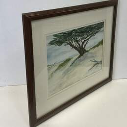 Cypress Tree at the Coast Watercolor Signed. Contemporary Matted & Framed alternative image