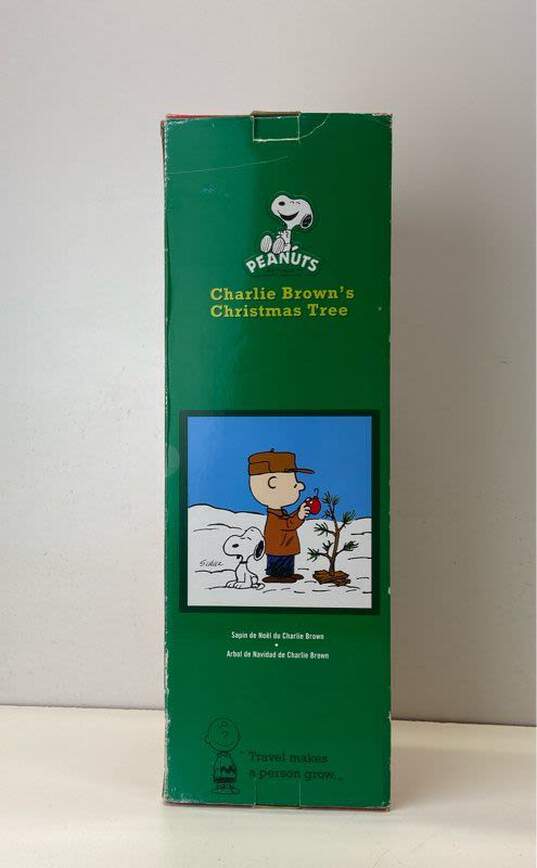 Charlie Brown's Christmas Tree image number 8
