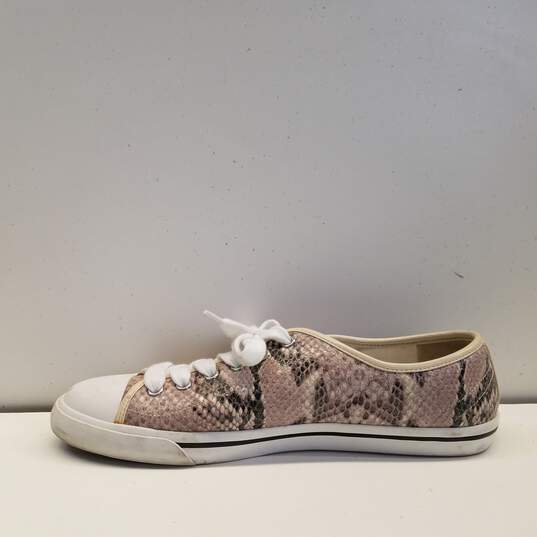 Cole Hahn With Nike Air Snake Pattern Size 8B Women's Low Top Converse Style image number 2