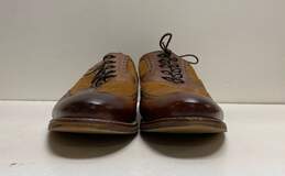 Stacy Adams Ansley Brown Leather Wingtip Oxford Dress Shoes Men's Size 11 alternative image