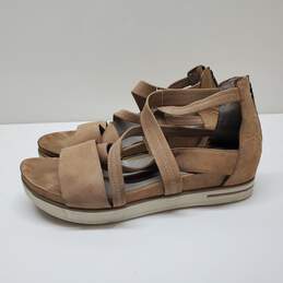 Eileen Fisher Shoes Nwot Eileen Fischer Sandals Sz 11
