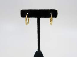 14K Yellow Gold Colorful Rhinestone Accent Mini Hoop Earrings 1.1g