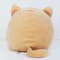 Squishmallows Nathan Tabby Cat Plush image number 3