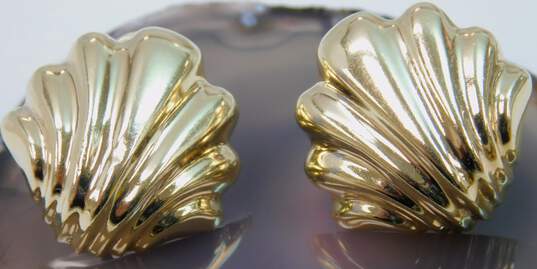 14K Yellow Gold Scalloped Sea Shell Omega Clip Earrings 8.4g image number 3