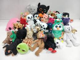 Lot of Assorted Ty Plushies