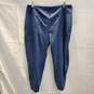 Patagonia Blue Stretch Pants Size L image number 1