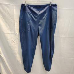 Patagonia Blue Stretch Pants Size L