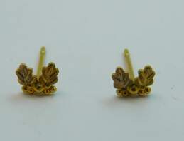 Landstrom's 10K Black Hills Gold Grapevine Stud Earrings 0.4g