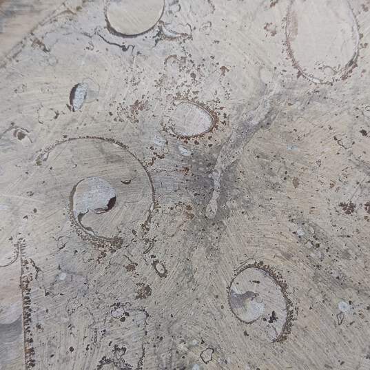 11.75" Orthoceras Fossil Octagonal Plate image number 6