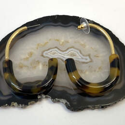 Designer J. Crew Gold-Tone Lined Tortoise Resin Pushback Hoop Earrings