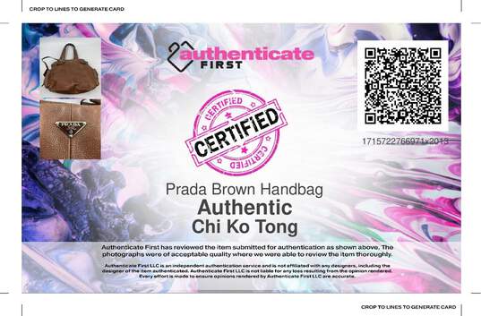 Prada Brown Handbag image number 8