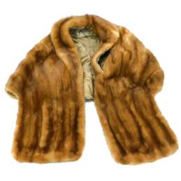Vintage John T. Shayne Women's Mink Fur Stole Shawl