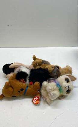 Assorted Ty Beanie Babies Dog Bundle Lot Of 6