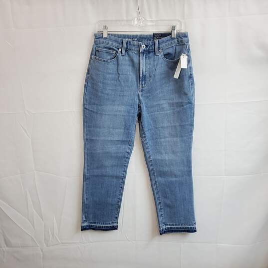 Talbots High Waist Modern Ankle Blue Cotton Blend Straight Leg Jeans WM Size 8p NWT image number 1