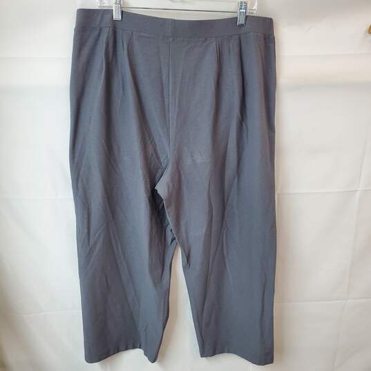 Eileen Fisher Woman Gray Pants in Size 1x image number 4