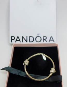 Pandora 925 Charm Bracelet With Best Friends & Sweet Pet Charms