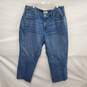 NWT Madewell WM's Curvy Perfect Vintage Straight Blue Denim Jeans Size 24w X 27 image number 1