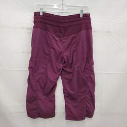 Lululemon WM's Dance Studio Purple Stripe Pants Leggings Size L alternative image