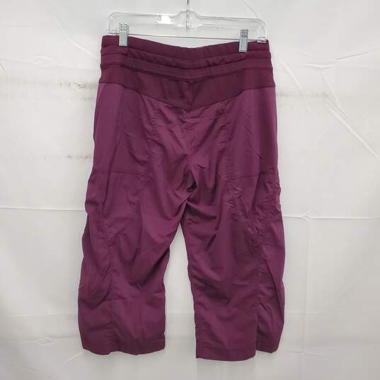 Lululemon WM's Dance Studio Purple Stripe Pants Leggings Size L image number 2