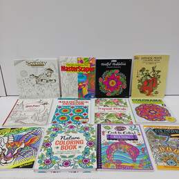 Bundle  of 11 Assorted Coloring Books