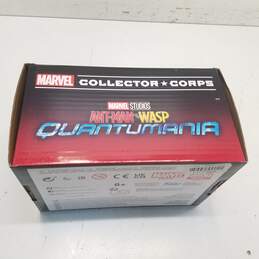 Size Medium Funko Pop Ant-Man & The Wasp Quantumania Marvel Collector Corps Box