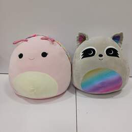 Bundle of Silvina The Snail & Max The Rainbow Raccoon Squishmallows