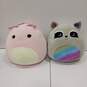 Bundle of Silvina The Snail & Max The Rainbow Raccoon Squishmallows image number 1