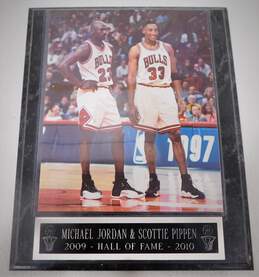 Michael Jordan Scottie Pippen 2009-2010 Hall Of Fame Bulls Print Wall Plaque