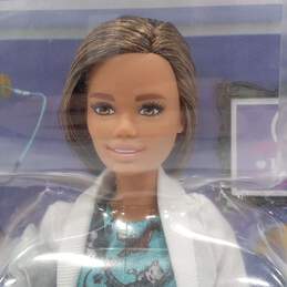 Pet Vet Barbie In Sealed Original Packaging w/ Cat alternative image