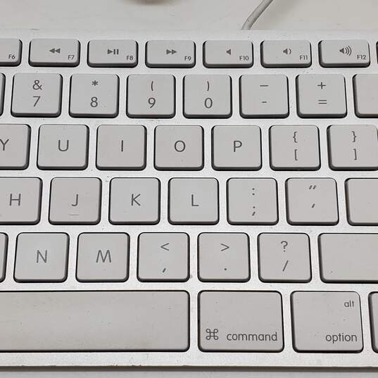 Apple Keyboard Model A1243 2015 USB Untested image number 3
