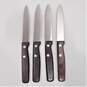 Vintage Zanger-Icel Set Of 4 Steak Knives IOB Cutlery image number 2