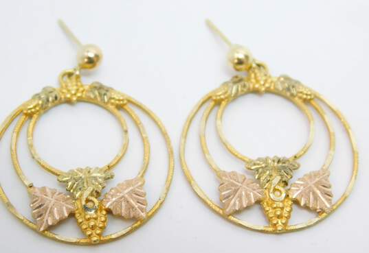 10K & 14K Yellow & Rose Gold Etched Grapes & Leaves Nested Circles Drop Post Earrings 5.4g image number 3