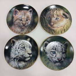 Bundle of 4 Assorted Ceramic Princeton Gallery Cubs of the Big Cats Plates