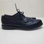 Ted Baker Ombre Brogue Wingtip Oxford Shoes in TTANUM-3 Blue Men's 13 image number 1