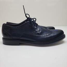 Ted Baker Ombre Brogue Wingtip Oxford Shoes in TTANUM-3 Blue Men's 13