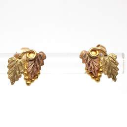 Landstrom's 10K Black Hills Gold Grape Leaf Stud Earrings - 1.0g alternative image