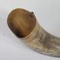 Vintage Steer Horn  with Chain /  Cow Ceremonial Horn image number 2