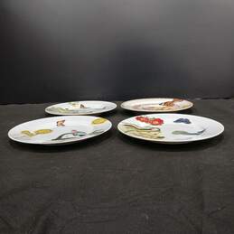 Set of 4 Floral/Nature Themed Plates