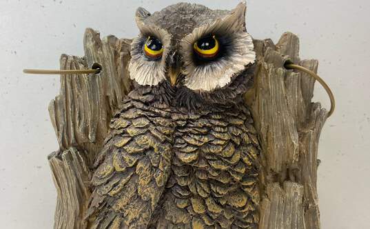Unbranded Owl Home Décor image number 4